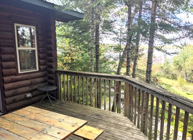 Main level deck area, hidden in the canopy.